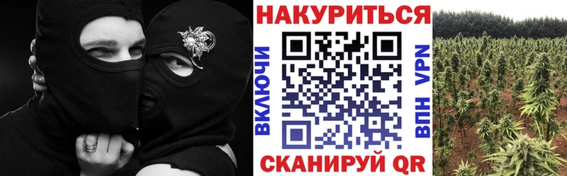 Где найти наркотики Нижнеудинск Канабис  A-PVP  Кокаин  ГАШИШ  МЕФ 