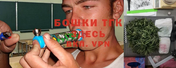 дживик Алексин