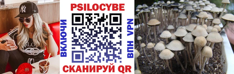 цена   Нижнеудинск  Галлюциногенные грибы мицелий 